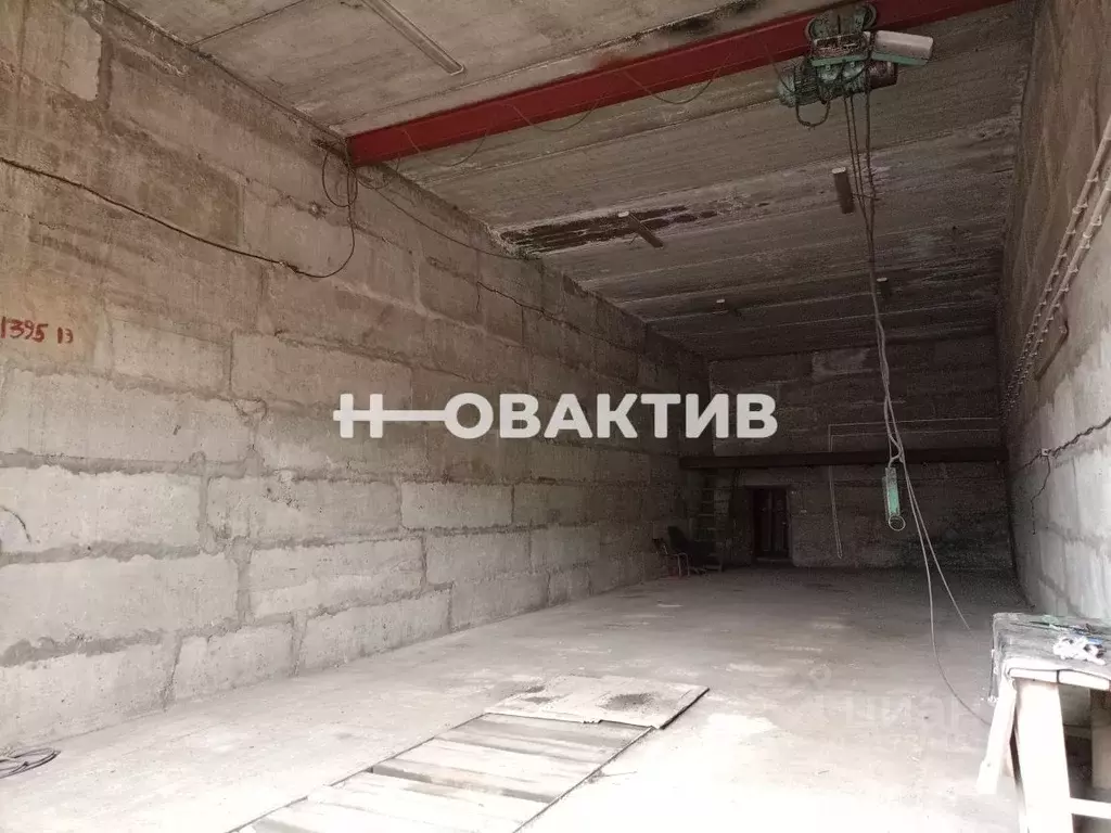Помещение свободного назначения в Новосибирская область, Новосибирск ... - Фото 0
