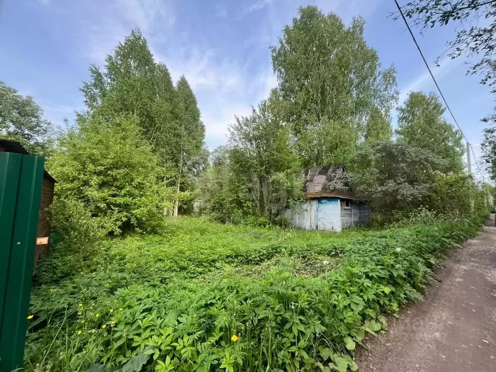 Участок в Вологодская область, Вологда Сохатый садоводческое ... - Фото 2