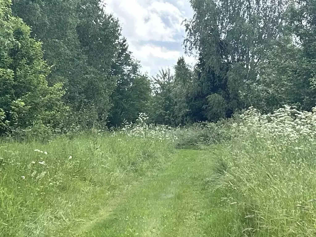 Участок в Московская область, Ступино городской округ, д. Залуги  ... - Фото 1