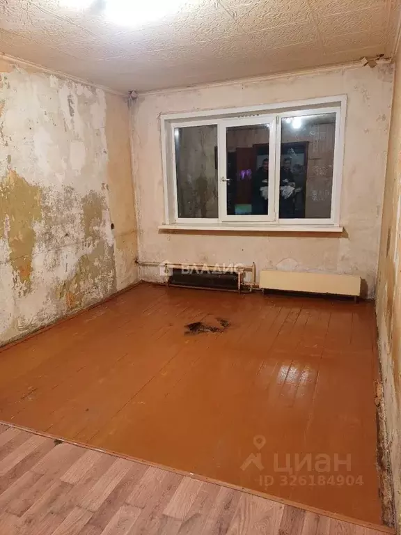 Студия Коми, Сыктывкар ул. Димитрова, 56 (17.2 м) - Фото 1