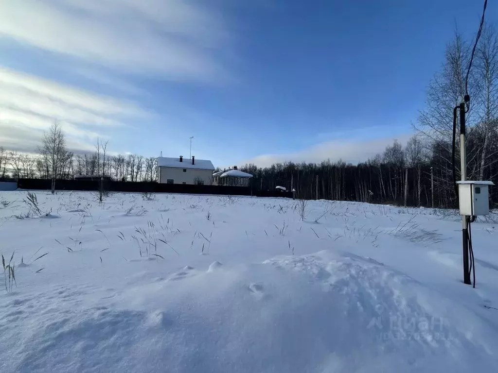 Участок в Московская область, Серпухов городской округ, д. Левашово  ... - Фото 2