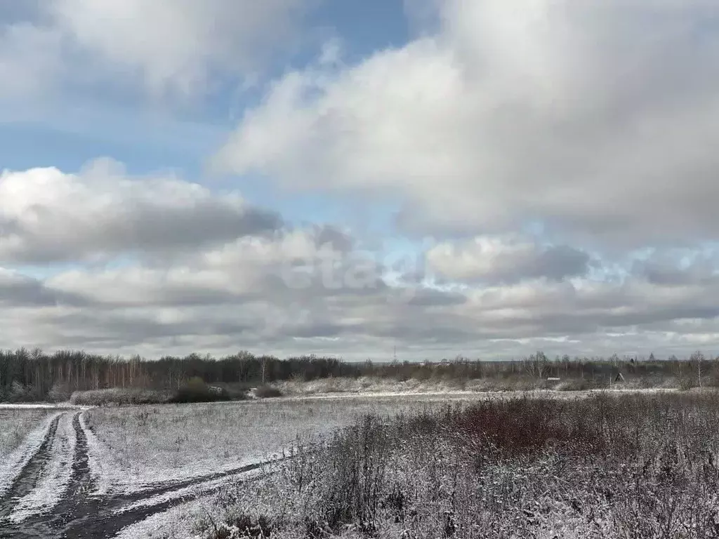 Участок в Мордовия, Саранск Восход садоводческое товарищество,  (4.0 ... - Фото 1