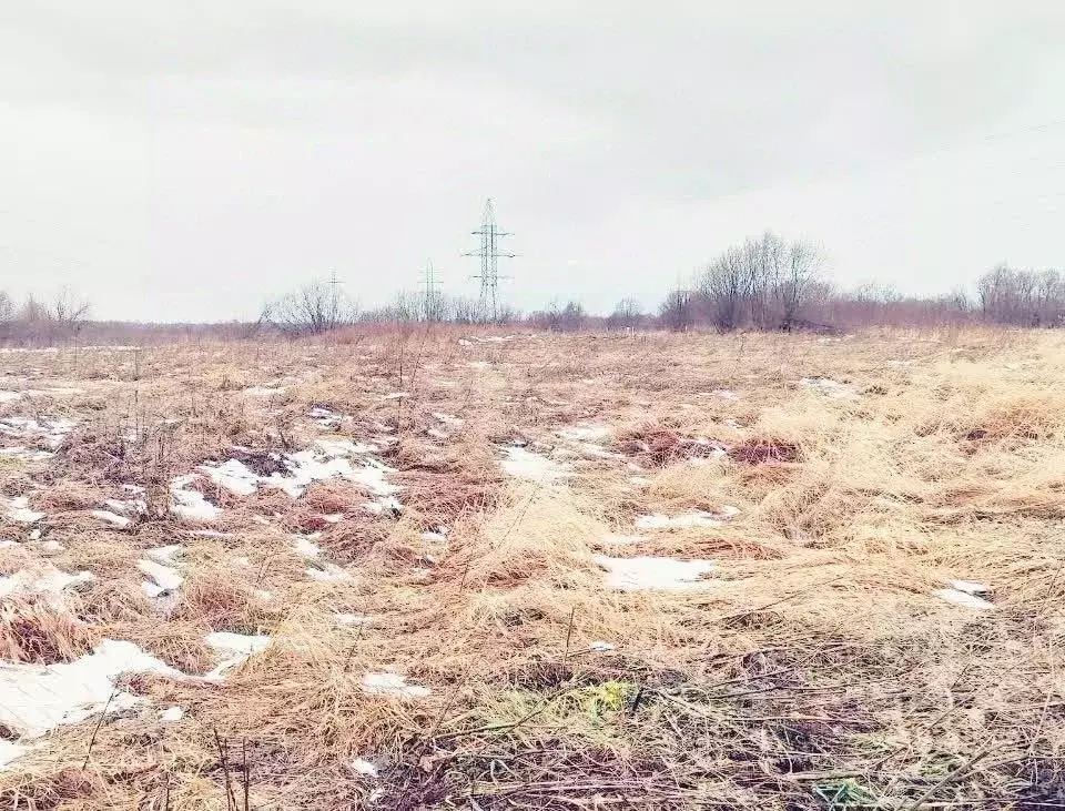 Участок в Архангельская область, Приморский муниципальный округ, д. ... - Фото 2