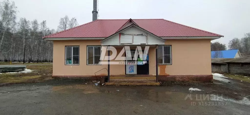 Торговая площадь в Челябинская область, Аргаяшский район, д. Акбашева ... - Фото 1