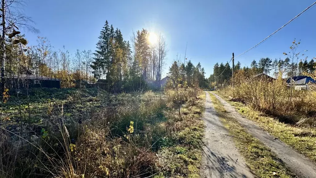 Участок в Ленинградская область, Всеволожский район, Свердловское ... - Фото 1