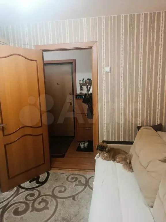 2-к. квартира, 38,1 м, 2/5 эт. - Фото 1
