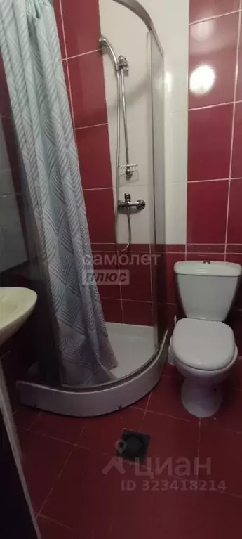 Студия Крым, Ялта муниципальный округ, Симеиз пгт ул. Владимира ... - Фото 2