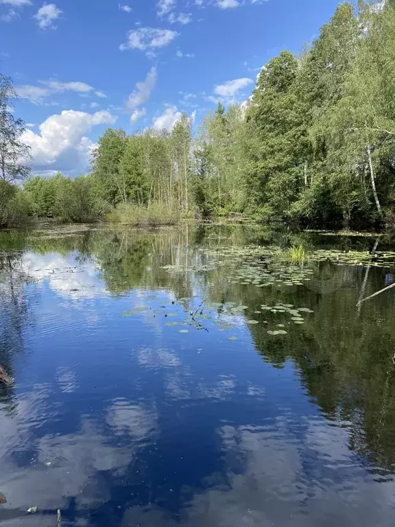 Село Дмитровский Погост городской округ Шатура