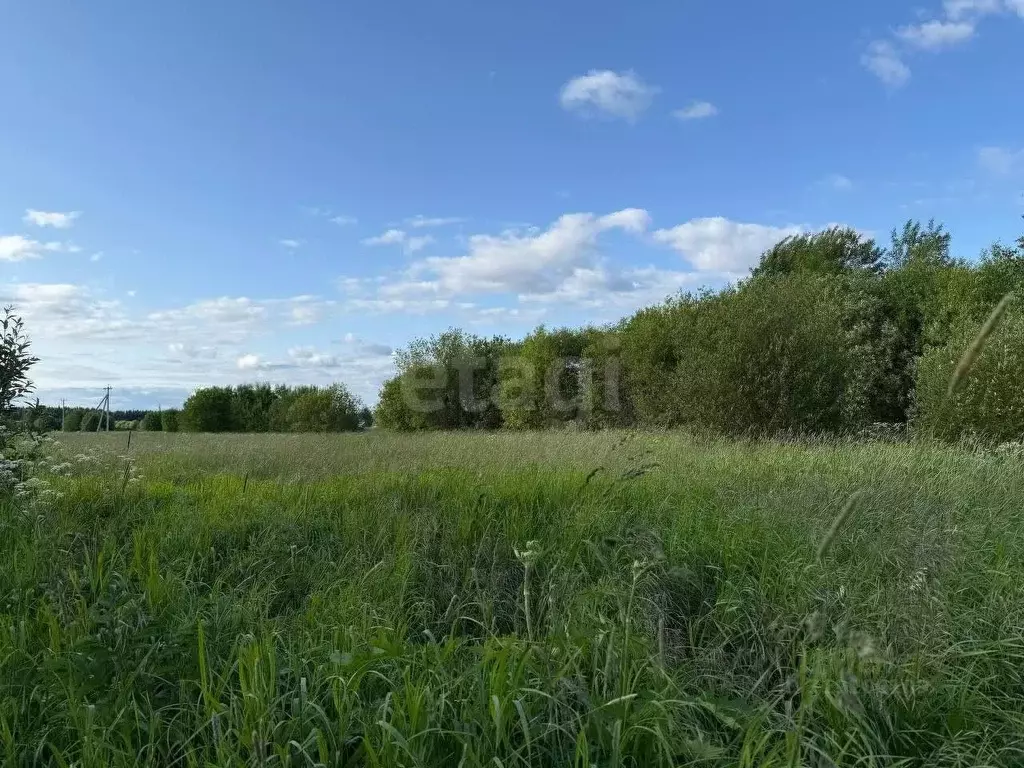 Участок в Вологодская область, Великоустюгский муниципальный округ, ... - Фото 1