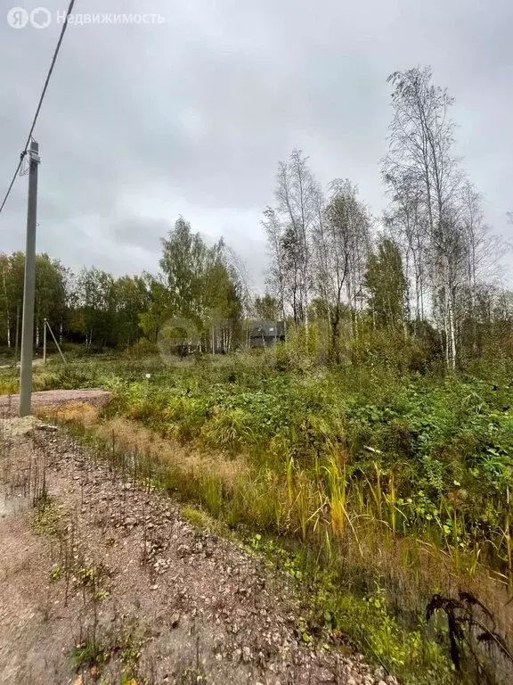 Участок в Колтушское городское поселение, деревня Хязельки, Нижняя ... - Фото 1