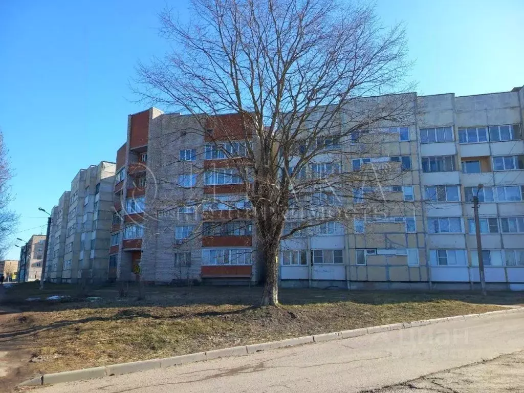 2-к кв. Ленинградская область, Пикалево г. Бокситогорский район, ... - Фото 1