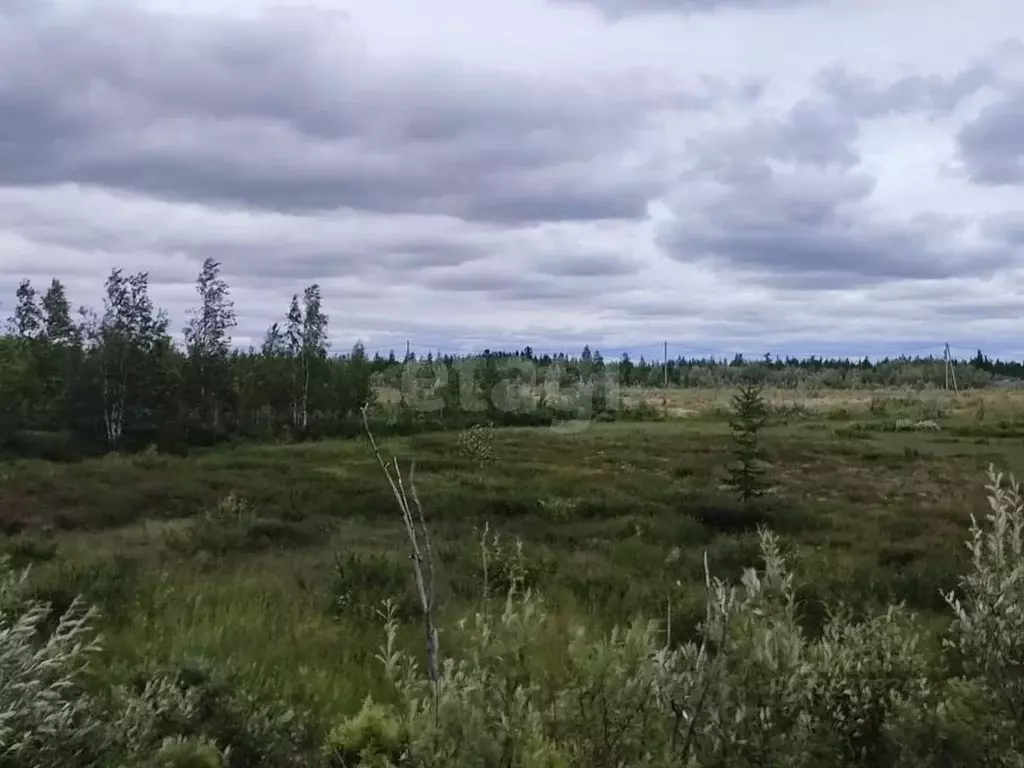 Участок в Ямало-Ненецкий АО, Новый Уренгой  (6.0 сот.) - Фото 1