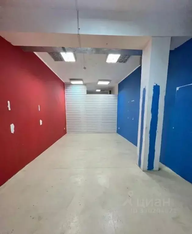 Помещение свободного назначения в Ярославская область, Ярославль ... - Фото 2