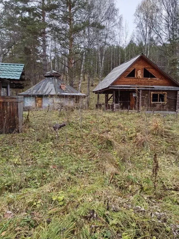 Участок в Алтай, Майминский район, с. Кызыл-Озек ул. Лесная (15.0 ... - Фото 1