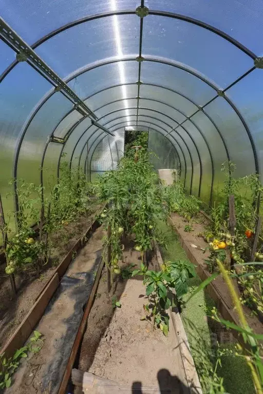 Дом в Еврейская автономная область, Смидовичский район, с. имени ... - Фото 1