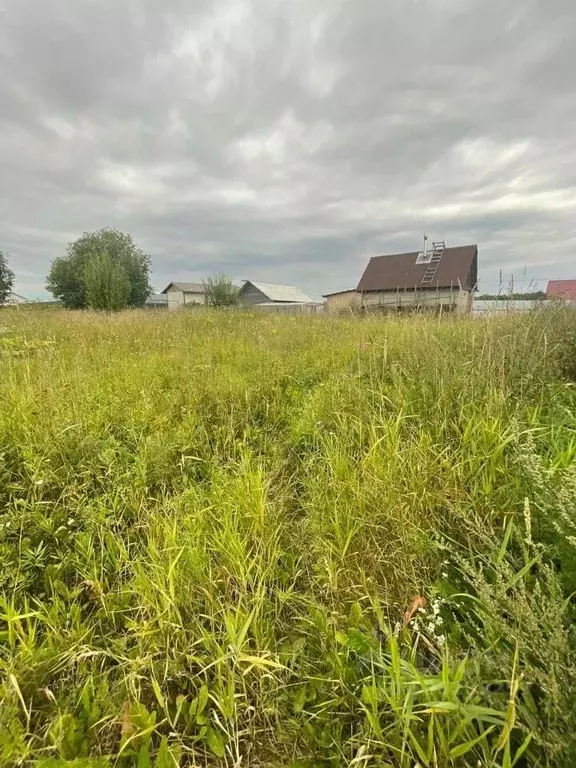 Участок в Ленинградская область, Ломоносовский район, Ропшинское ... - Фото 1