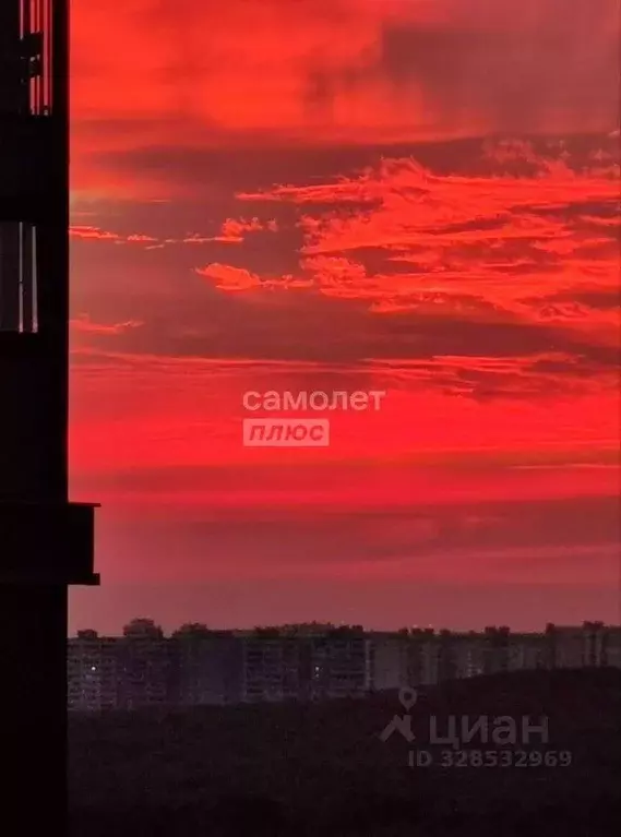 3-к кв. Москва Варшавское ш., 168 (85.0 м) - Фото 1