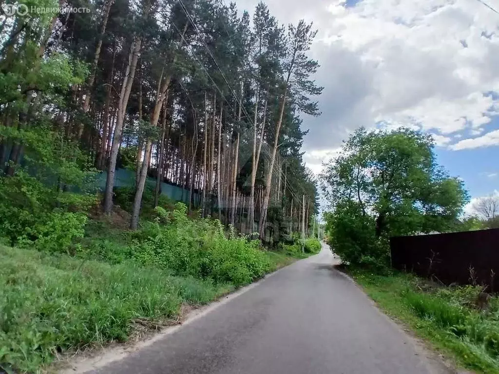 Участок в село Ямное, Набережная улица, 1/2 (35 м) - Фото 0