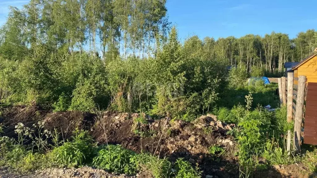 Участок в Ленинградская область, Ломоносовский район, Ропшинское ... - Фото 0