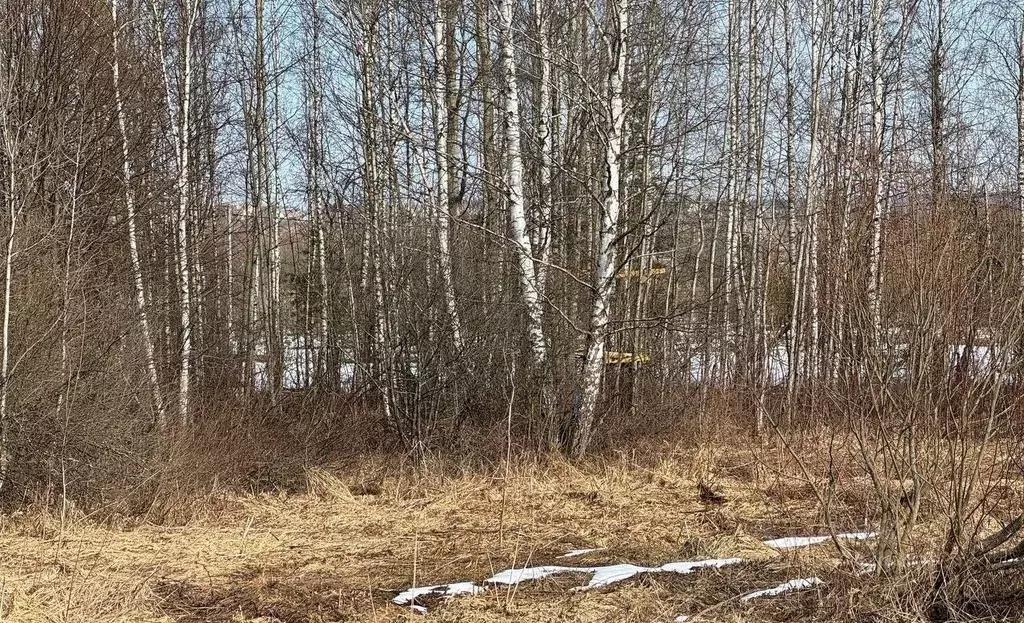 Участок в Московская область, Богородский городской округ, с. ... - Фото 2