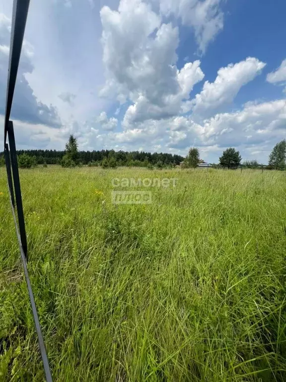 Участок в Московская область, Орехово-Зуевский городской округ, д. ... - Фото 1