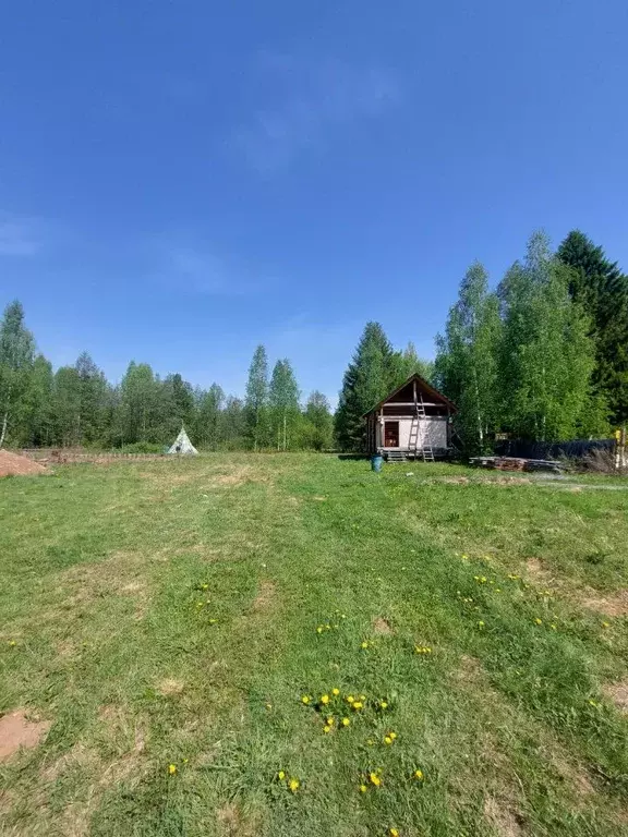 Участок в Пермский край, Пермь Микрорайон Голый мыс, ул. 1-я Полевая ... - Фото 1