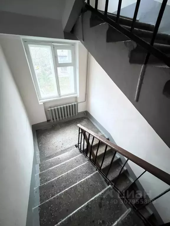 Комната Санкт-Петербург наб. Черной речки, 59К1 (12.3 м) - Фото 1