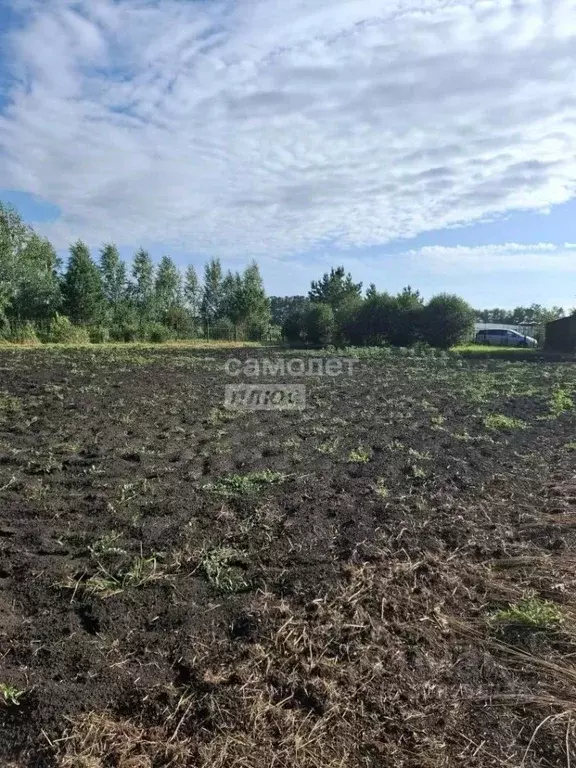 Участок в Омская область, Таврический район, Озерное СНТ  (12.0 сот.) - Фото 2