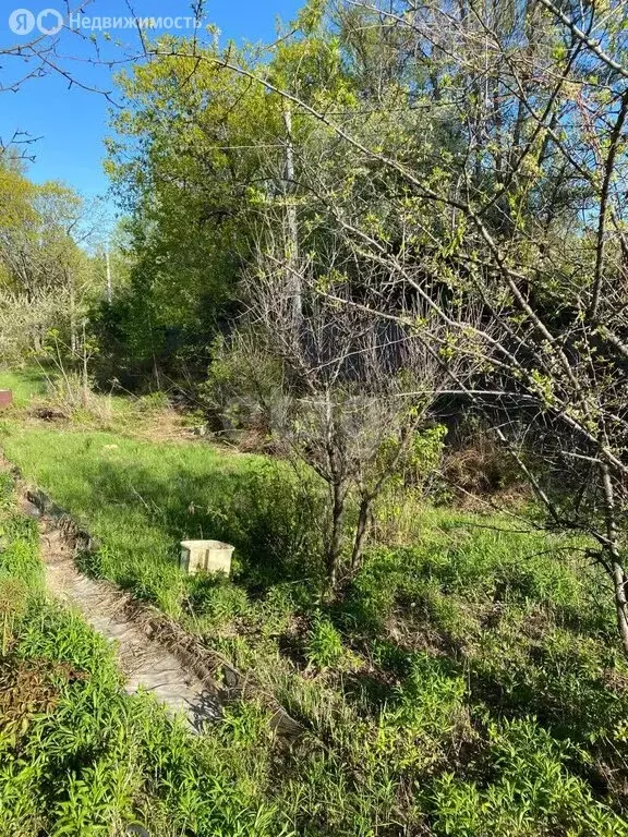 Участок в Мичуринское сельское поселение, село Федоровка (260 м) - Фото 0