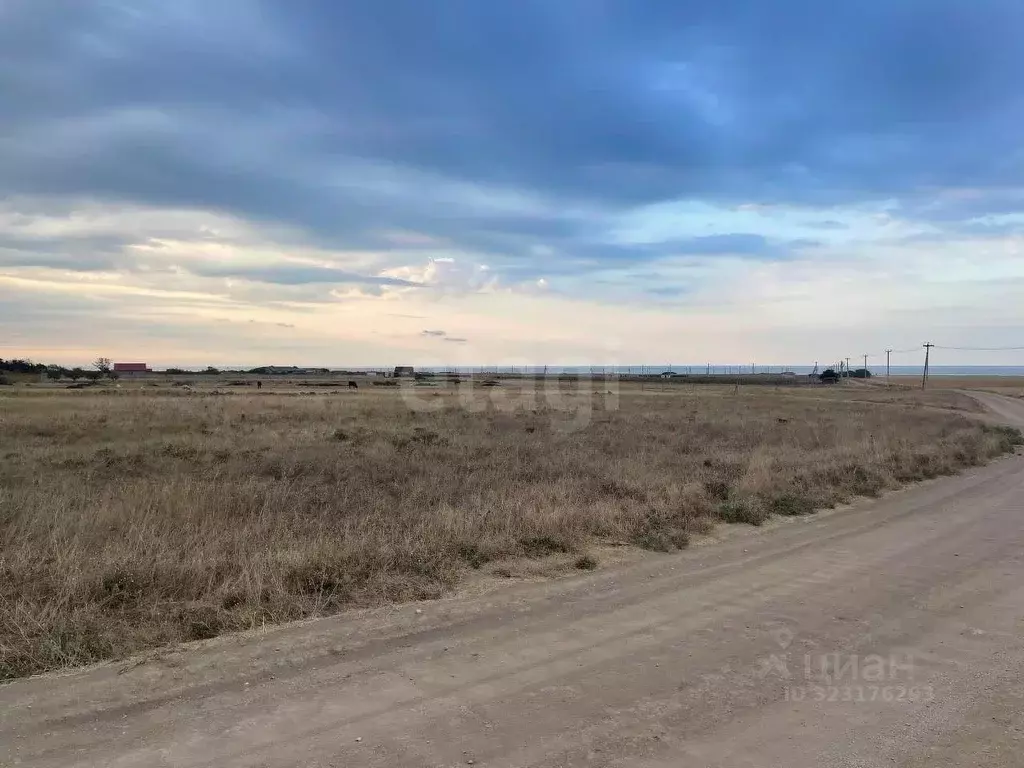 Участок в Крым, Черноморский район, Окуневское с/пос, с. Громово  ... - Фото 2