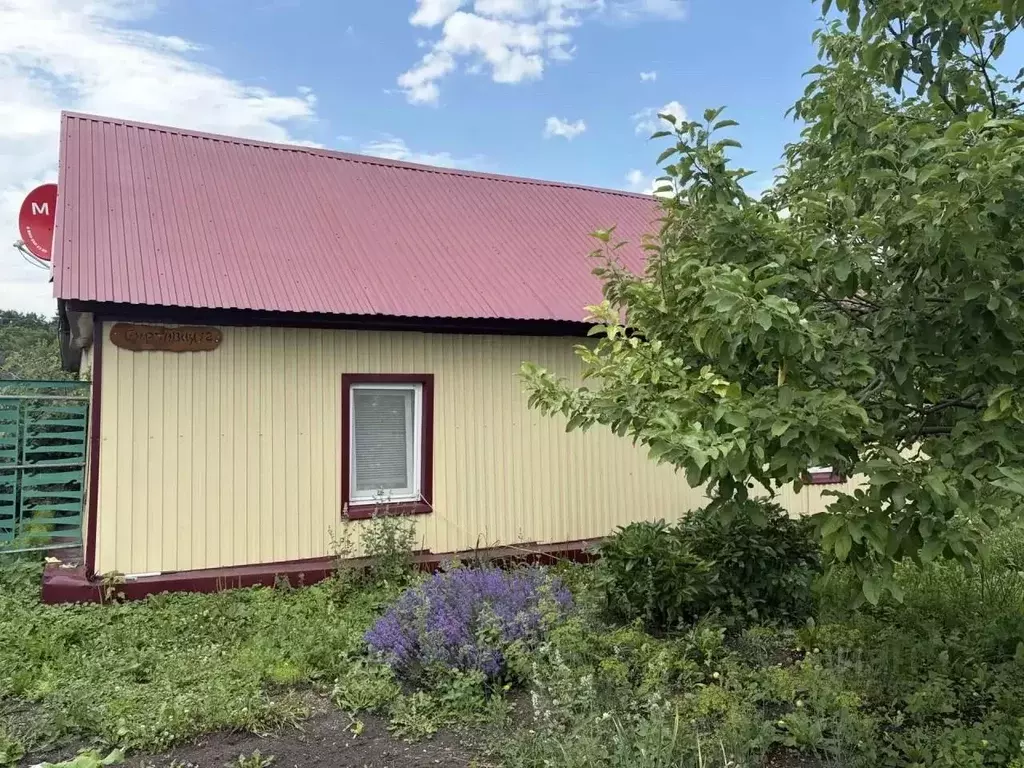 Дом в Татарстан, Бавлинский район, с. Александровка  (75 м) - Фото 2
