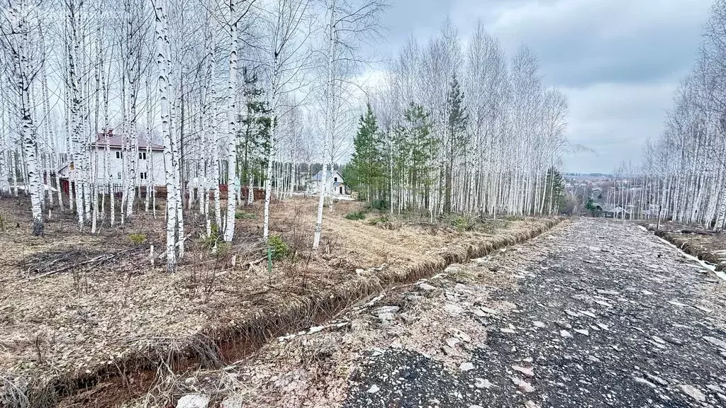 Участок в Пермский край, Краснокамский муниципальный округ, село Мысы ... - Фото 1