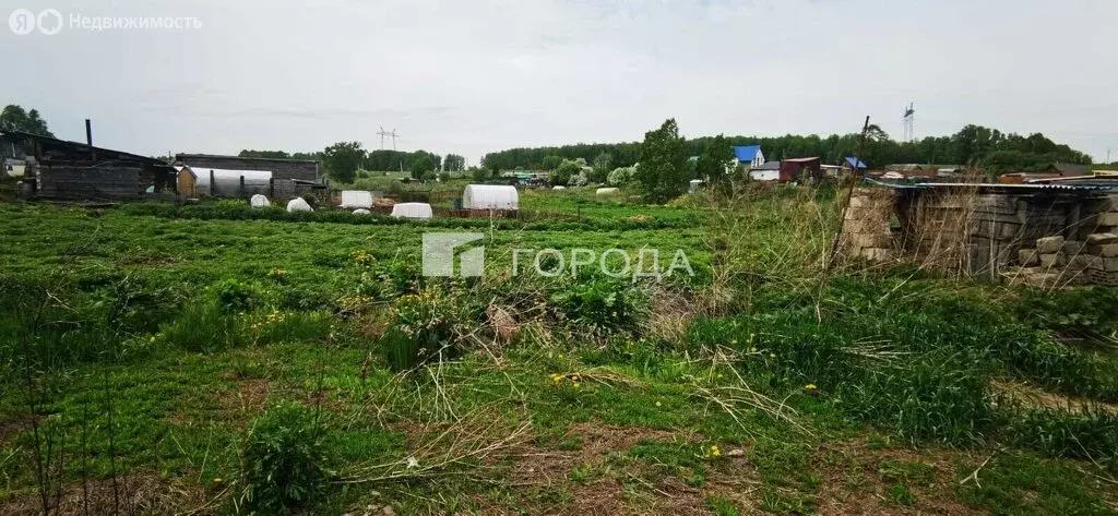 Участок в Тогучинский район, СТ Биолог, Овражная улица (5.5 м) - Фото 1
