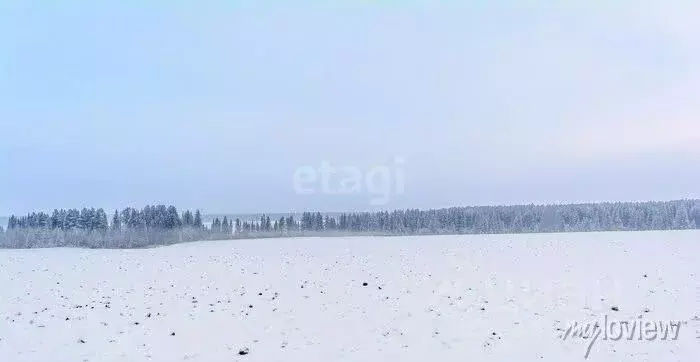 Участок в Саратовская область, Балашовский район, Лесновское ... - Фото 1