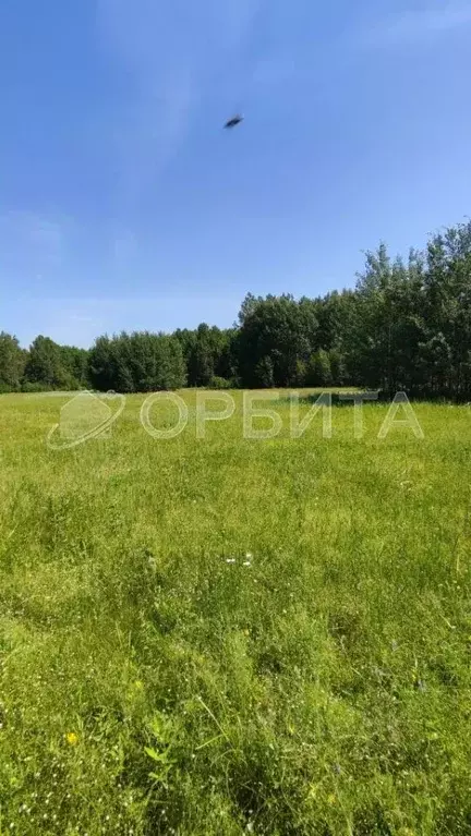 Участок в Тюменская область, Тюмень Яровское садовое товарищество, ул. ... - Фото 2