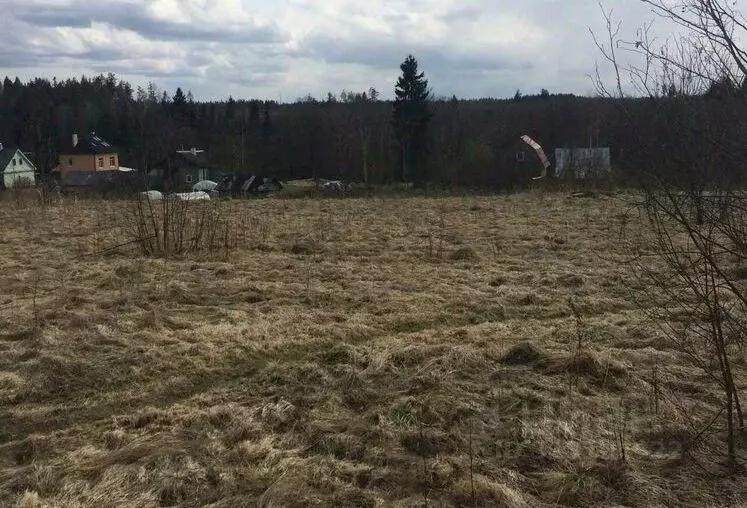 Участок в Ленинградская область, Лужский район, Толмачевское городское ... - Фото 1