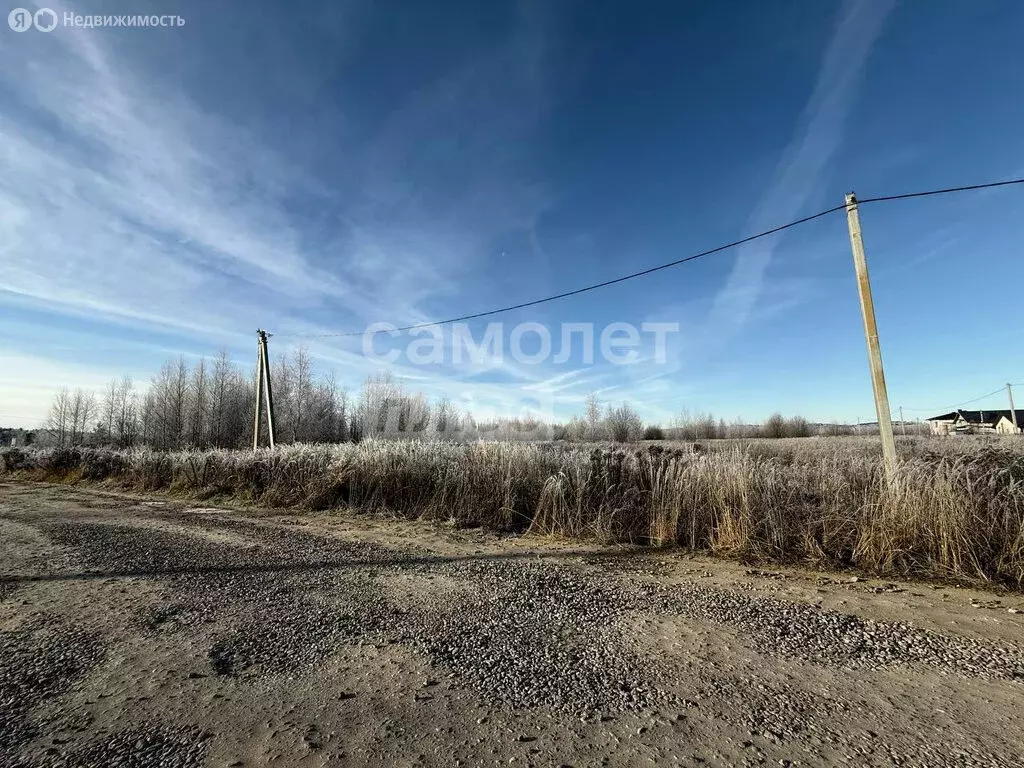 Участок в Костромской район, Бакшеевское сельское поселение, деревня ... - Фото 1