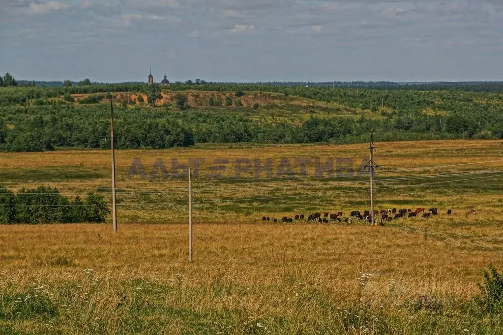 Участок в Ярославская область, Переславль-Залесский муниципальный ... - Фото 2