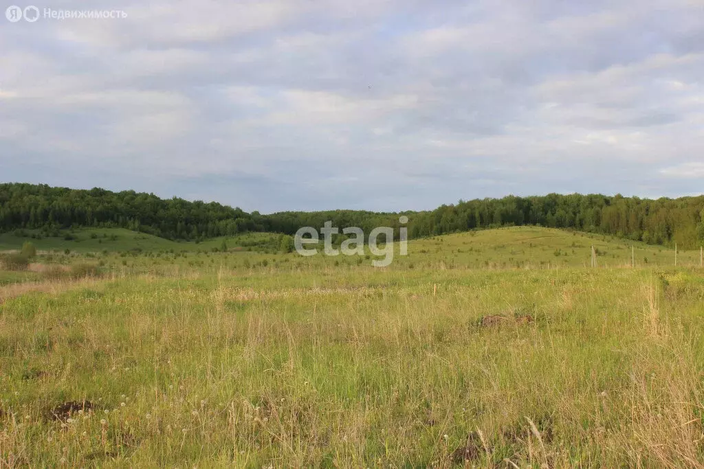 Участок в село Лямбирь, Нижегородская улица (15.86 м) - Фото 1