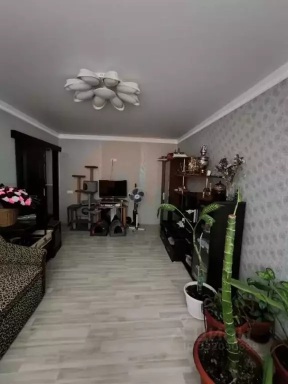 3-к кв. Крым, Саки ул. Курортная, 23 (65.4 м) - Фото 2