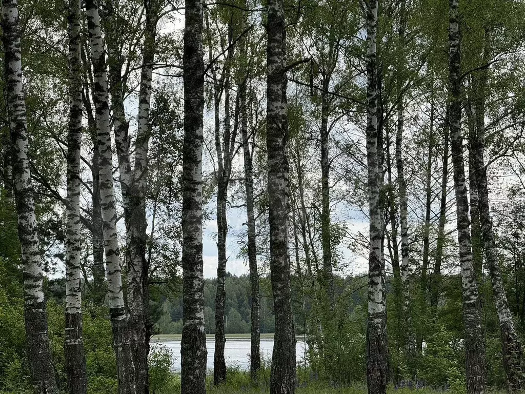 Дом 68,8 м на участке 15 сот. - Фото 1