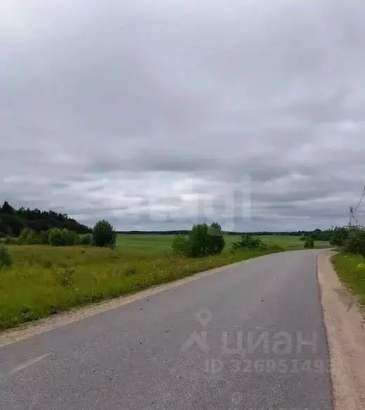 Участок в Ленинградская область, Волосово просп. Вингиссара (773.96 ... - Фото 2