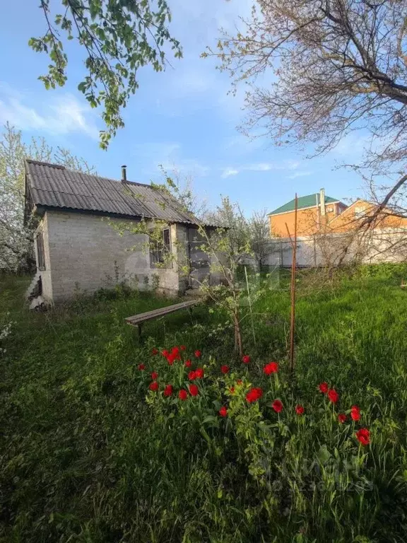 Участок в Ростовская область, Новочеркасск Яблоневый пер. (6.0 сот.) - Фото 2