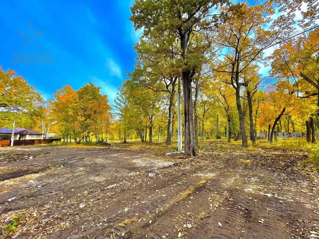 Участок в Самарская область, Самара  (27.0 сот.) - Фото 1