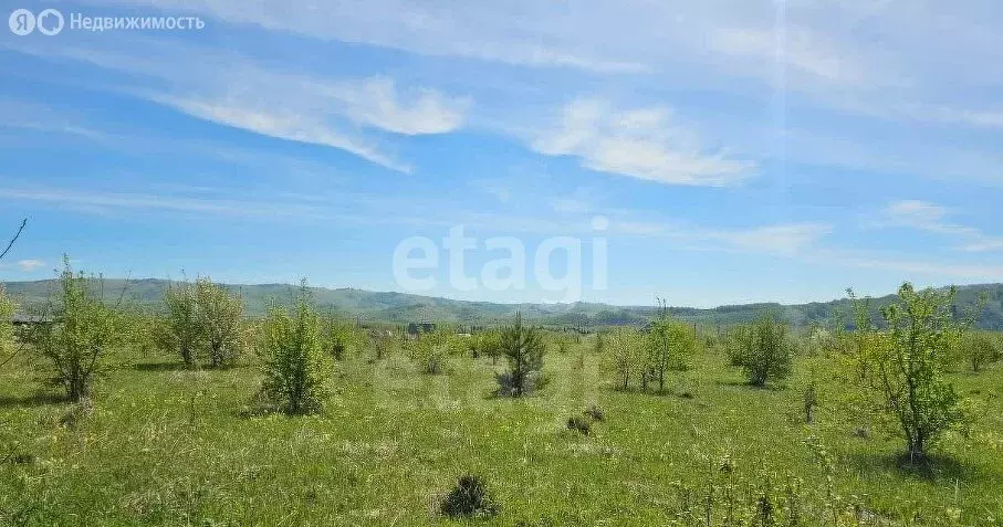 Участок в Майминский район, село Подгорное, Береговая улица (6.18 м) - Фото 0