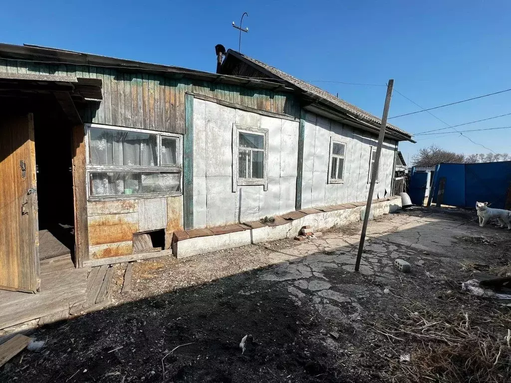 Дом в Амурская область, Белогорск ул. Добролюбова, 11 (46 м) - Фото 1