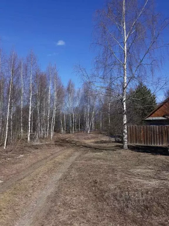 Участок в Нижегородская область, Городецкий муниципальный округ, д. ... - Фото 0