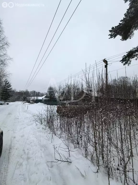 Участок в Московская область, городской округ Пушкинский, село ... - Фото 0