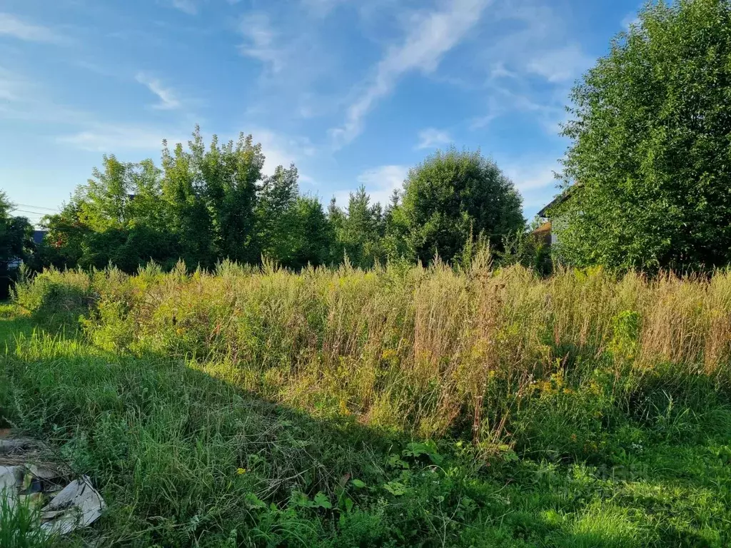 Участок в Московская область, Химки городской округ, д. ... - Фото 2