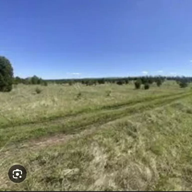 Участок в Удмуртия, Сарапульский район, д. Усть-Сарапулка ул. ... - Фото 2